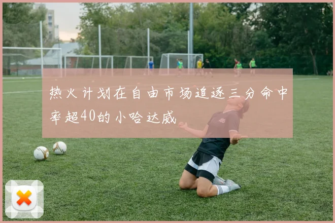 热火计划在自由市场追逐三分命中率超40的小哈达威
